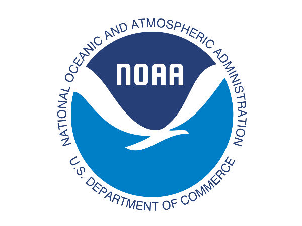 கொலையாளி திமிங்கலத்திடம் 'ஆட்கள்' சிக்கலாம் 'ட்ரோன்'  சிக்காது..!