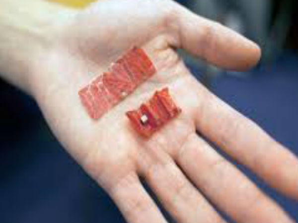 முயற்சி :