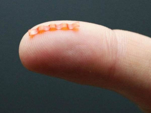 ஒளி உணர்திறன் :