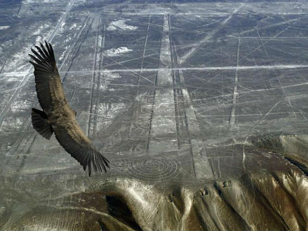 இணைப்புகள் :