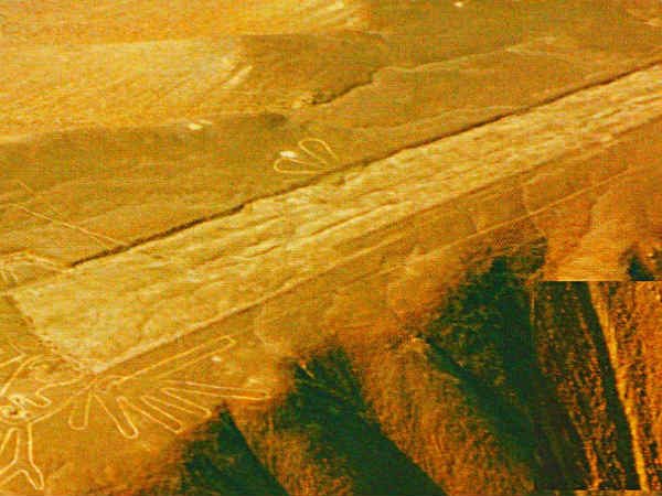 நிரூபிக்கப்படவில்லை :