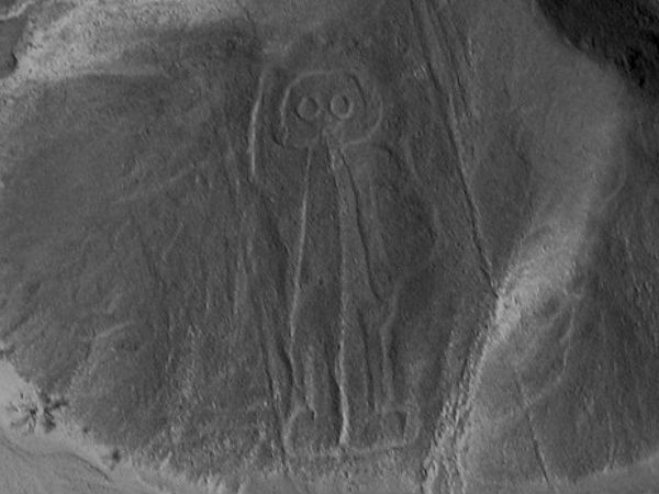 கேள்விக்கான விடை :