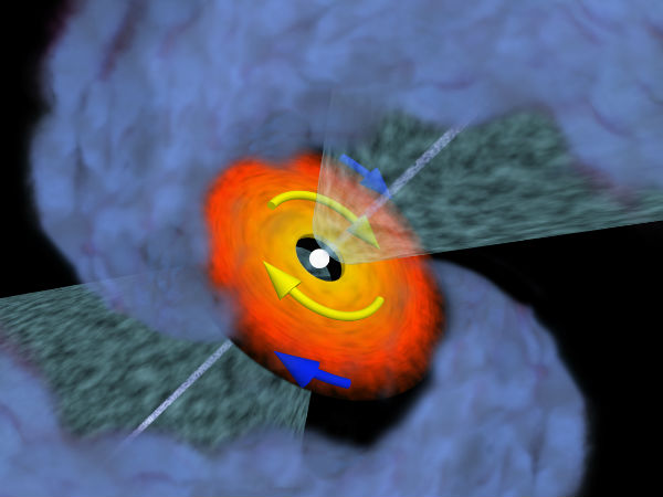 ஒட்டுமொத்த ஆயுட்காலம் :