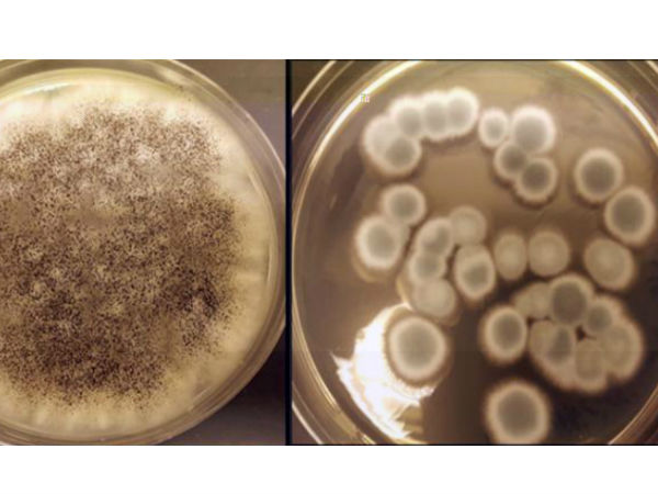 மதிப்பு :