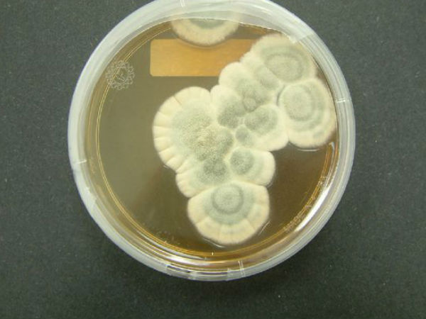 கடினம் :