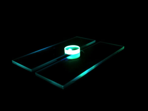 ஜெல்லி மீன் புரதங்களை அடிப்படையாக கொண்டு அடுத்ததலைமுறைலேசர்..!