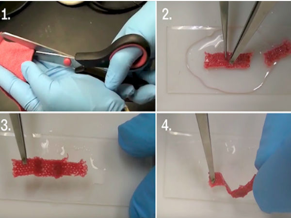 சாத்தியமே : கிழிந்தால் 'காயம் போல தானாக ஆற்றிக்கொள்ளும்' துணி வகை..!