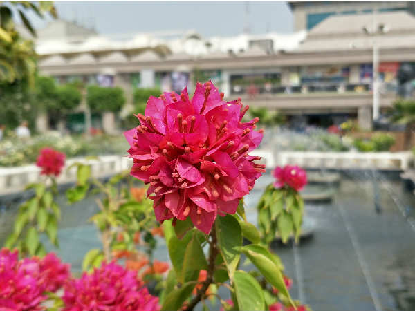 கொரில்லா கிளாஸ் 5