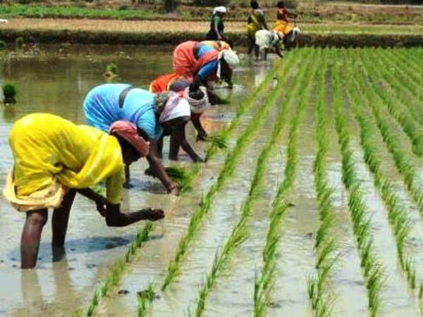 தாத்தா கூறிய வார்த்தைகள்