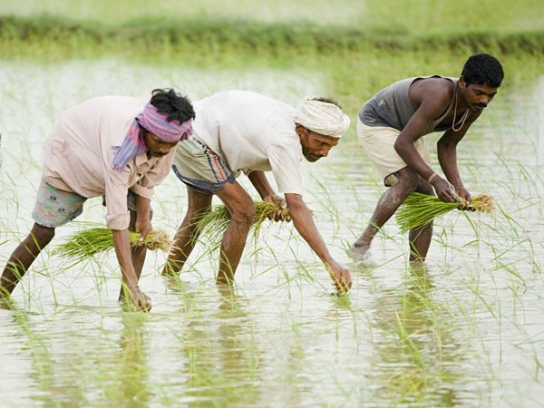 வளர்க்கும் கலை