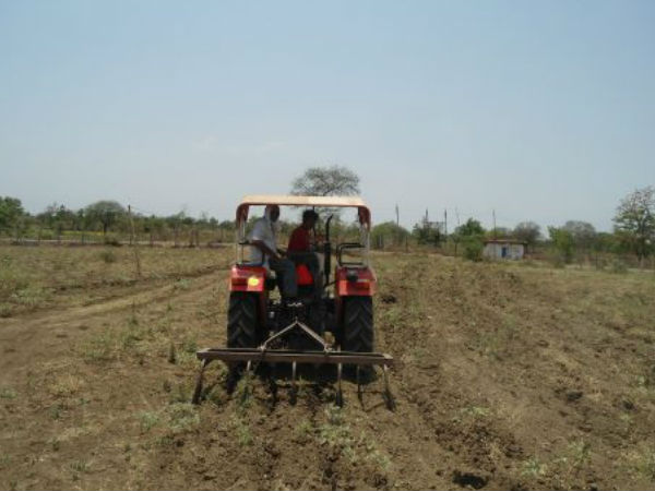 நெல் மற்றும் பருவகால காய்கறி