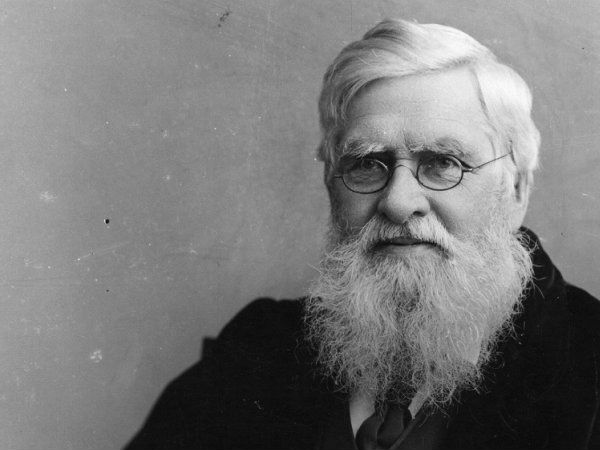 கருத்துப்படிவம் 