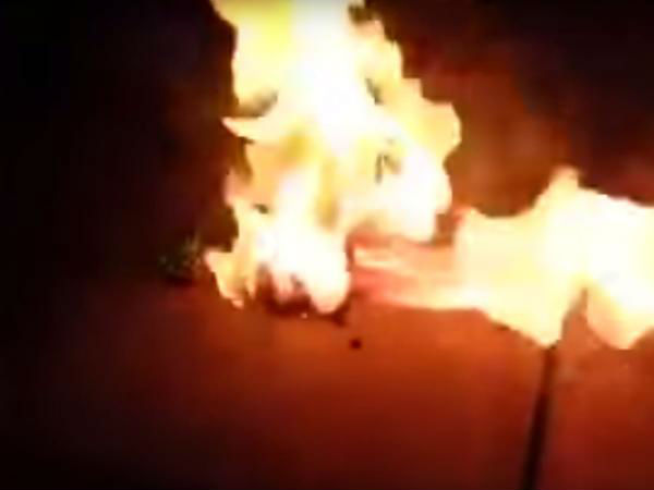 அதீத இணைய பயன்பாடு  மற்றும் எதையும் பதிவிறக்க செய்வது மிகவும் ஆபத்தானதா?