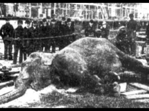 மிகவும் ரகசியமாக நிதியுதவிகள்