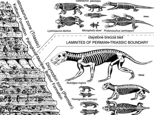 3. பெர்மினியன் ட்ரையஸிக் - 250 மில்லியன் ஆண்டுகளுக்கு முன்பு