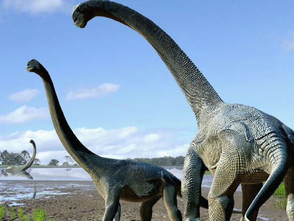 4. டிரையசிக்-ஜுராசிக் - சி 200 மில்லியன் ஆண்டுகளுக்கு முன்பு