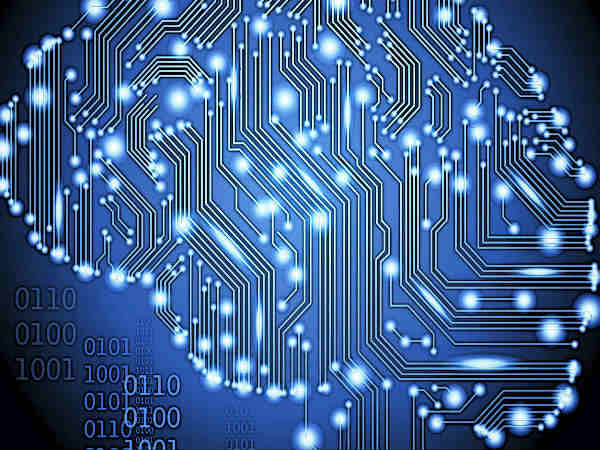 இனத்தின் அழிவு சாத்தியமே