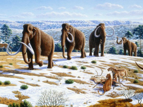 07. குறிப்பிட்ட சில உயிரினங்கள் எங்கிருந்து வந்தன.?