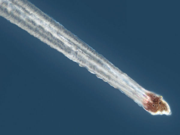 நடப்பதும் சாத்தியமே