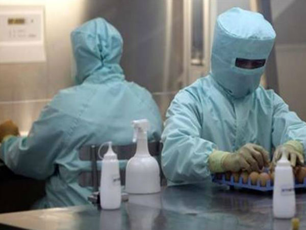 பழமையான வண்டல் பாறை