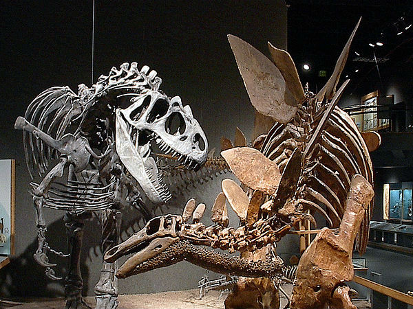 தடிமனான போர்வைகள்