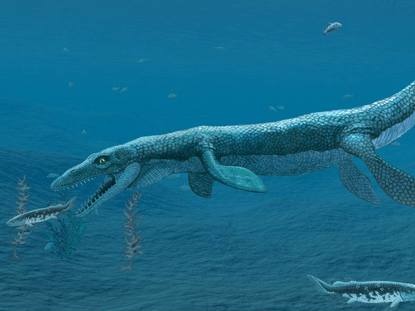 ஆயிரக்கணக்கான ஆண்டுகளுக்கு விளைவுகள் நீளும்