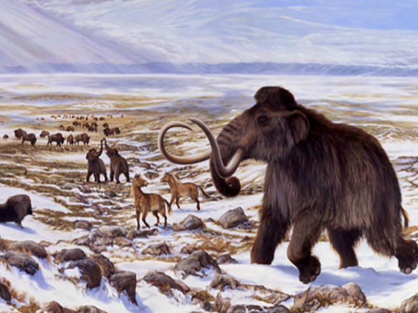 பூமியின் துருவங்கள் புரட்டப்பட்டுள்ளது