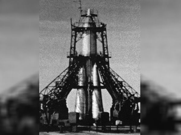 தற்செயலாக புகைப்படத்தில் சிக்கியது.!