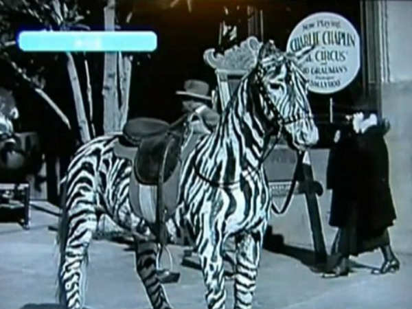 மொபைல் போன் பயன்படுத்துவது.?