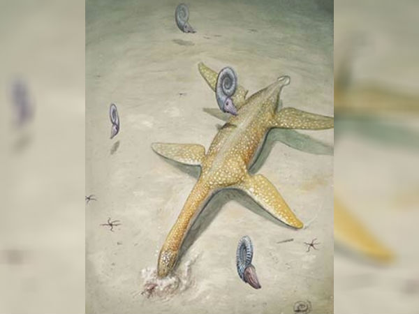 காவேரி ஆற்றுப் பள்ளத்தாக்குகளில்..