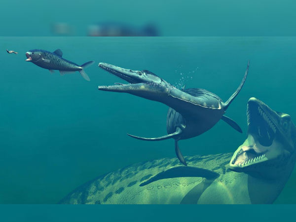 சுமார் 165 முதல் 90 மில்லியன் ஆண்டுகளுக்கு முன்னர்..