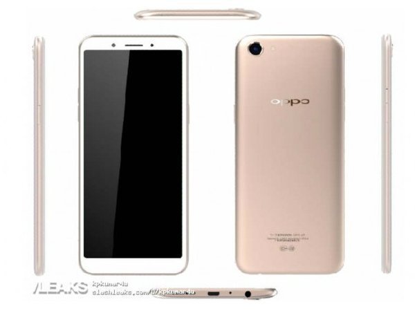 பின்புறம் மற்றும் முன்பக்கம்