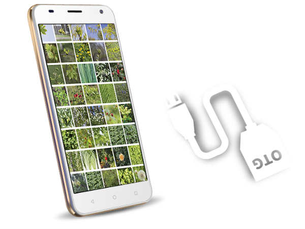 5-இன்ச் டிஸ்பிளே: