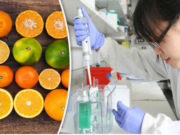 கோட்பாடு 02: வைட்டமின் சி-யினால் புற்றுநோயை எதிர்த்து போராட முடியும்.