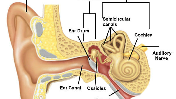 பக்க விளைவு #5