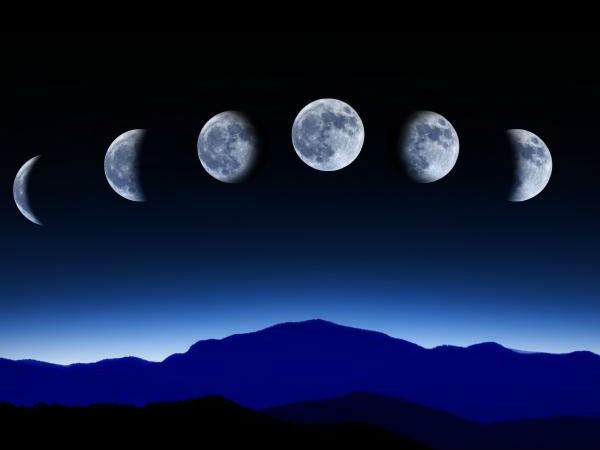 ஆதாரம் #6