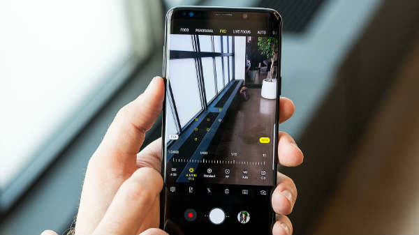 டிஸ்பிளே: 