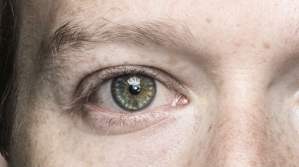 தேடல் கட்டுப்பாடுகள் :