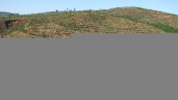  50 ரூபாயிலிருந்து 100 ரூபாய்