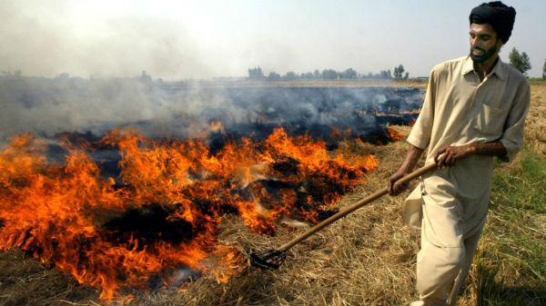 விவசாயிகளின் கண்மூடித்தனம்.!