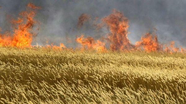 அவரின் கருத்து அதிர்ச்சியை கிளப்பியுள்ளது.!