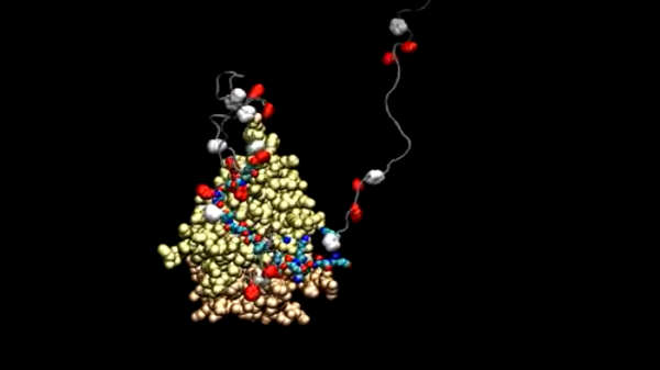 இந்தியாவை பூர்வீகமாக கொண்ட விஞ்ஞானியை ஆதரிக்கும் மார்க் சக்கர்பெர்க்.!