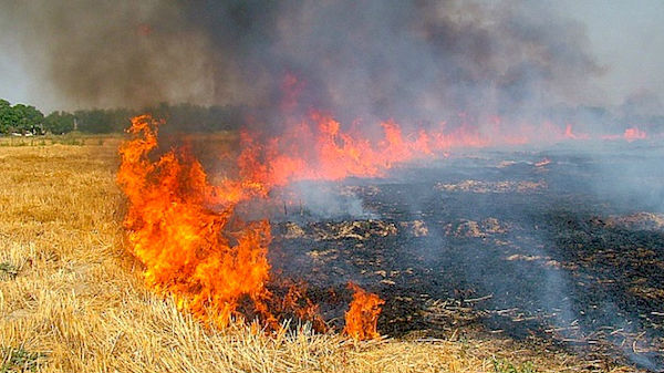 விவசாயிகள் அப்படி என்ன செய்தனர்.?