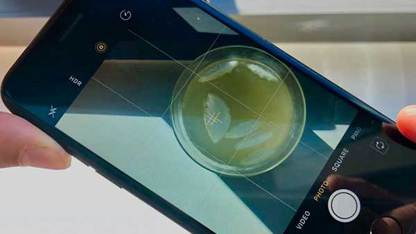  ரீச்சபிலிட்டி