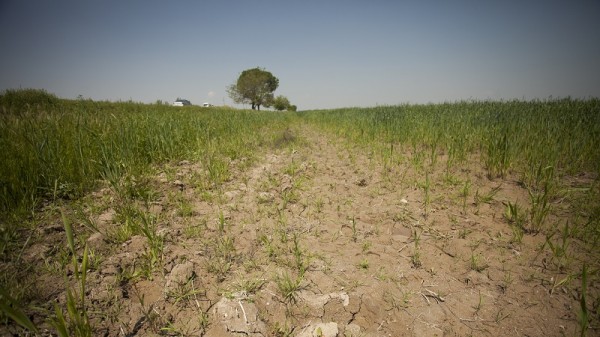 மண்ணுக்கேற்ற பரிந்துரைகள்