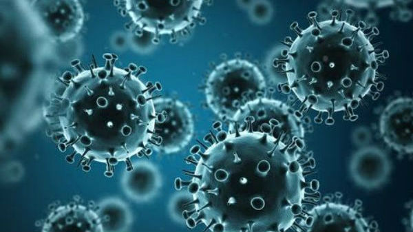 அது  நம்மை போன்றதொரு அறிவார்ந்த உயிரினமாக இருக்குமா.?