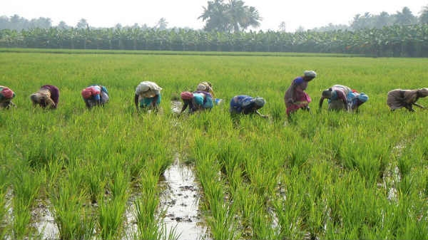 குறைந்த செலவில்