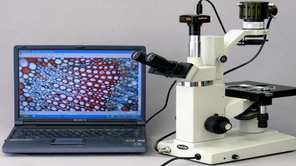 மலிவு விலையில்