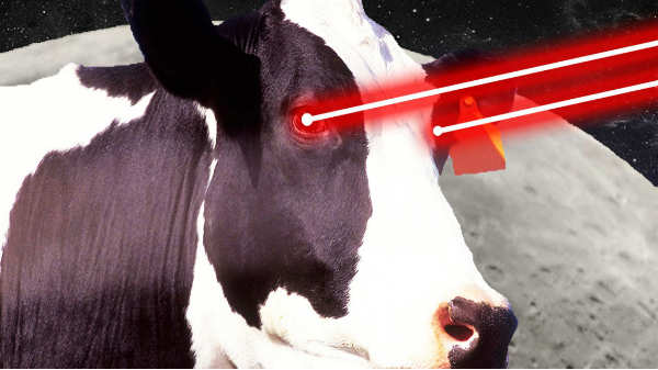 இயந்திர முறையில் 