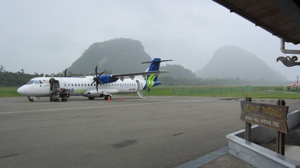 ஃப்ளைஸ்டெயின் (Flystein): 